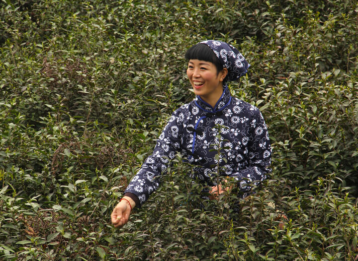 房主私密舞